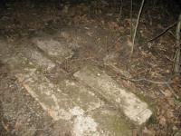 Chicago Ghost Hunters Group investigates Bachelors Grove (84).JPG